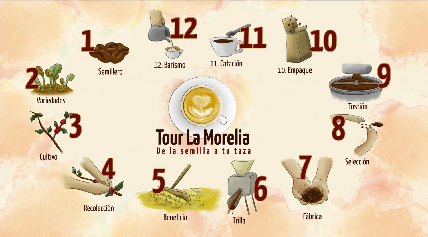 Coffee Tour de La Semilla a la Taza - La Morelia - Armenia, Quindío